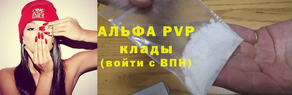молекула духа Приозерск